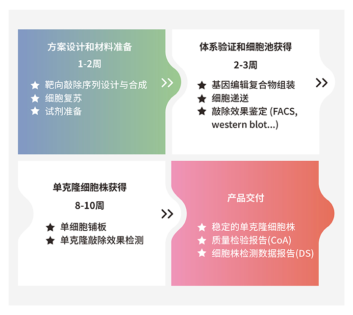 服务流程