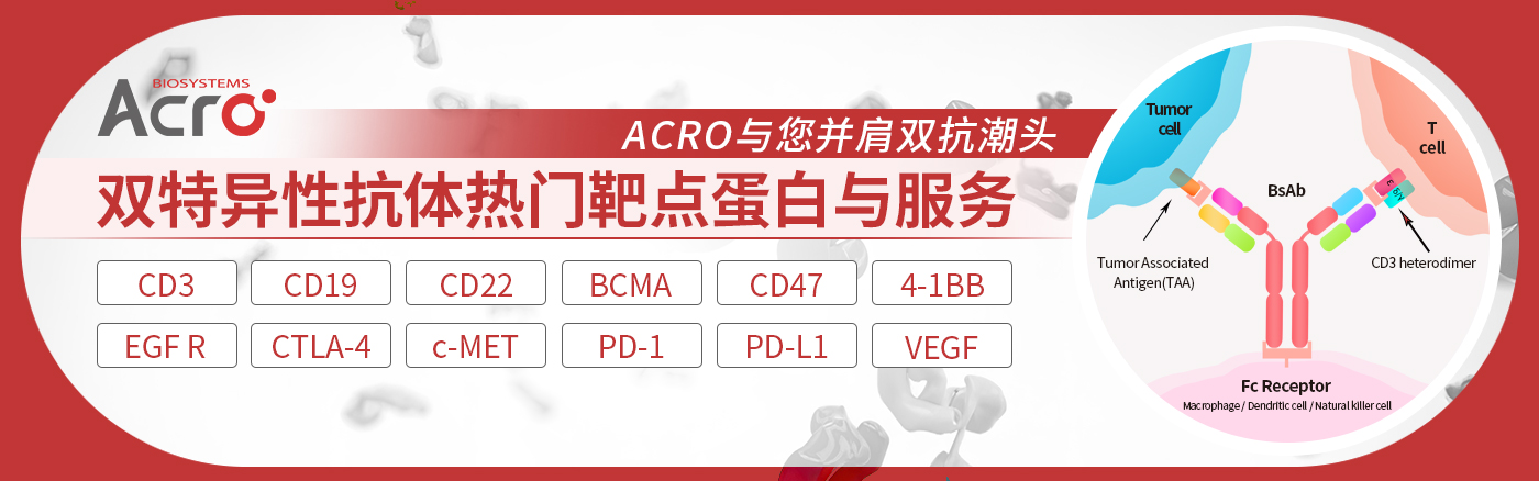 双特异性抗体热门靶点蛋白与服务