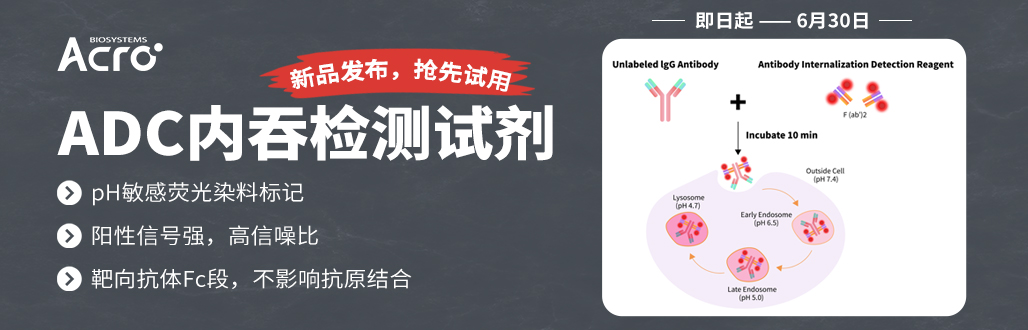 pH敏感染料的抗体内吞检测试剂