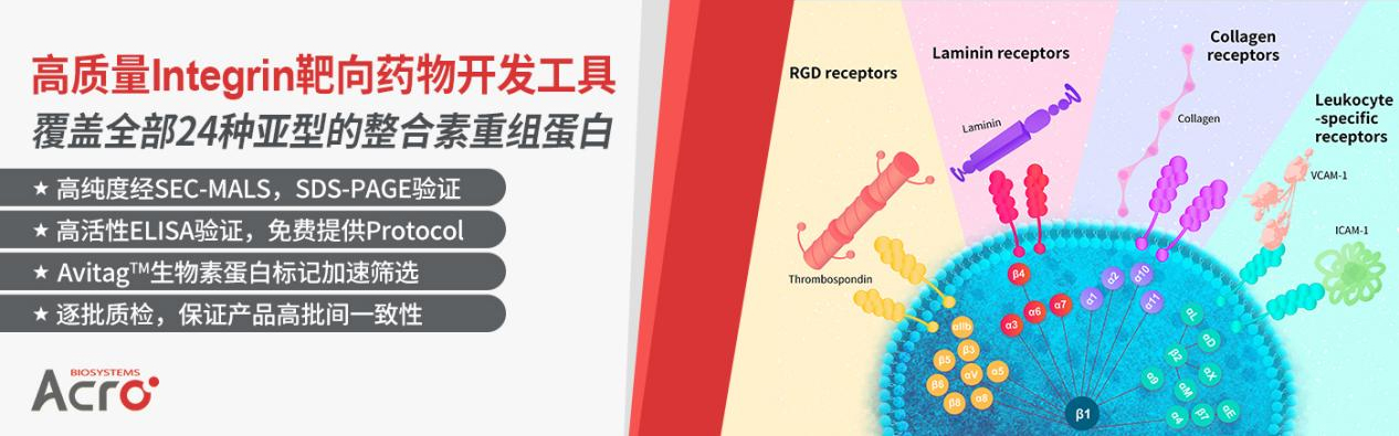 RWYD-MMAE：精准靶向整合素α6，抑制肺腺癌