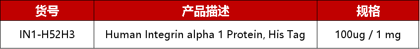 RWYD-MMAE：精准靶向整合素α6，抑制肺腺癌