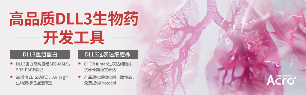 RWYD-MMAE：精准靶向整合素α6，抑制肺腺癌