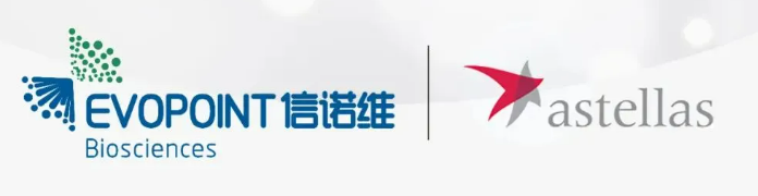 突破国产“无人区”!创新药密集上市引领减重、抗炎、肿瘤治疗新纪元