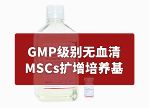 【试用装】GMP级别无血清MSCs扩增培养基