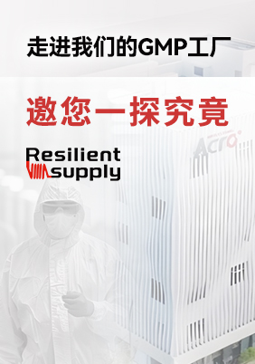 在线参观：走进GMP工厂	