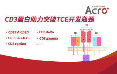 CD3蛋白助力突破TCE开发瓶颈