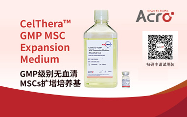 重磅新品——CelThera™ GMP级无血清MSCs扩增培养基