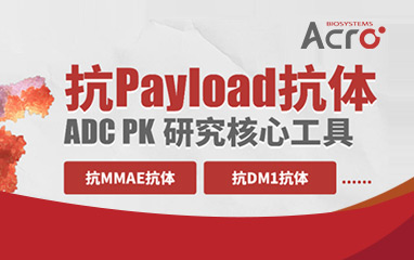 双载荷ADC：站在爆发前夜
