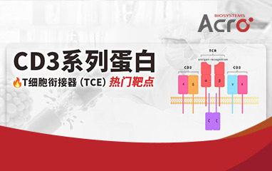 CD3蛋白：高生物活性经抗体结合验证，赋能TCE药物开发